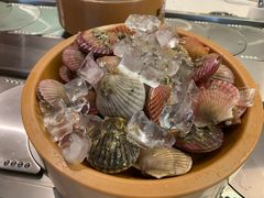 -龍歌自助小火锅(市南金茂湾店)