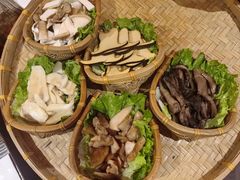 -滇野云南野生菌餐厅(陕西南路店)
