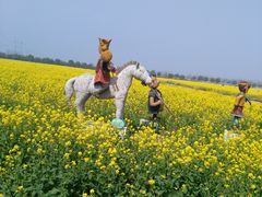 -兰陵国家农业公园