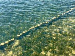 -上海月湖雕塑公园