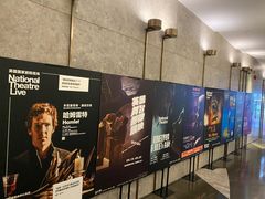 -百美汇影城(LUXE嘉里中心店)