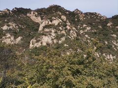 -大岭沟猕猴桃谷风景区