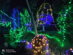 -武汉紫薇都市田园