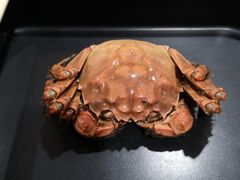 酒醉大闸蟹-赤甲皇(仙霞路店)