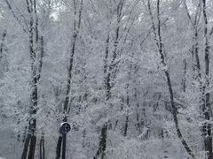 -中旅松花湖滑雪场