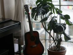 -参差咖啡(水果湖公园店)