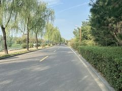 -洨河生态公园
