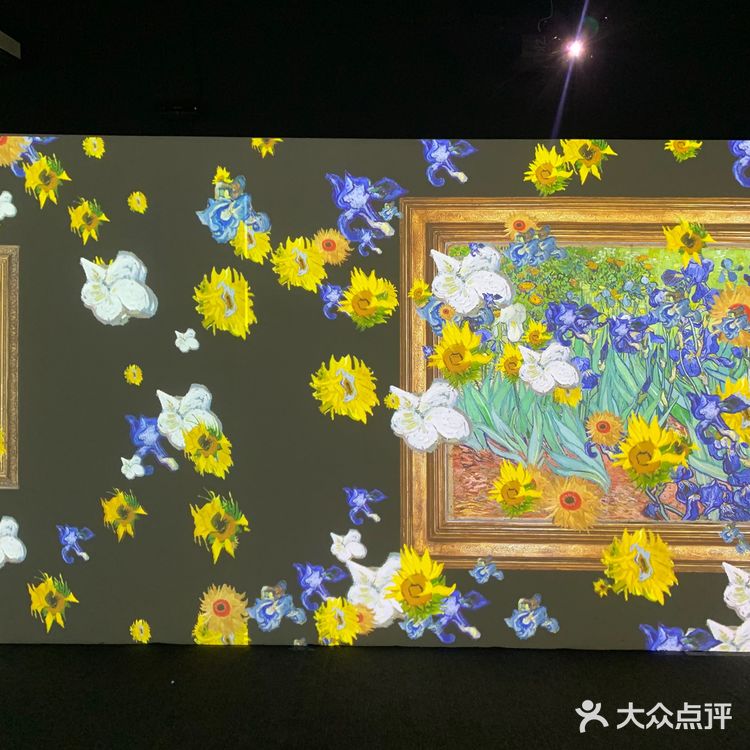 青岛展览🖼沉浸式梵高星空画展‼️巨好拍📷