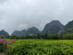 -明仕田园
