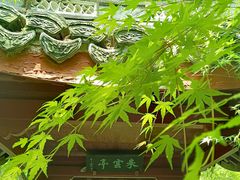 -上海醉白池公园