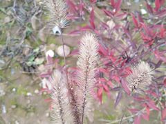 -汉长安城未央宫国家考古遗址公园