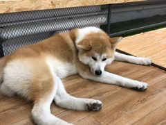 -YCHL Studios健身工作室(市二宫店)