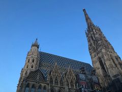 -斯蒂芬主教座堂(Stephansdom)