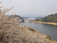 -广州市流溪河国家森林公园