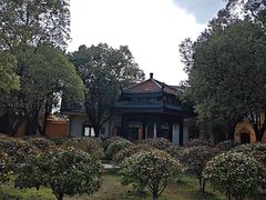 -报恩禅寺