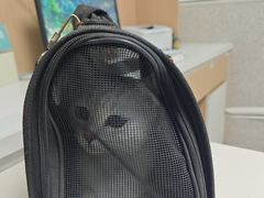 -谐和贝康宠物医院24小时·宠保定点(急重症转诊中心)
