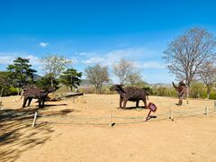 -北京西山国家森林公园