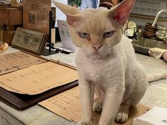-自由生长植物工作室(深港花卉中心店)