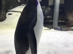 -悉尼海洋生物水族馆