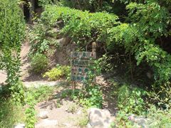-波罗峪风景区
