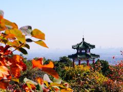 -北京西山国家森林公园