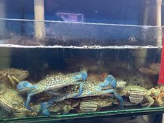 -阿弟特色海鲜餐厅·大排档(平潭店)