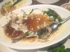 -院里寻菜·精致庭院菜(观沙岭店)