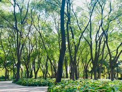 -玲珑塔公园