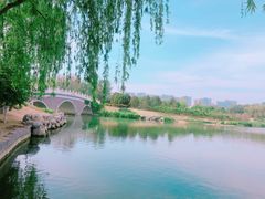 -大兴滨河森林公园