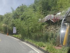 -栾川竹海野生动物园