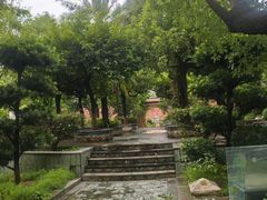 -广州神农草堂中医药博物馆