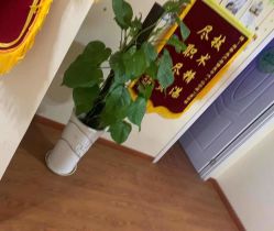 点击看大图 -Dr.林醫生产后修复·超级店(南京江宁同曦店)