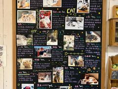 -小时光咖啡馆(开森度假森林店)