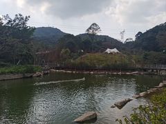 -广州市帽峰山景区