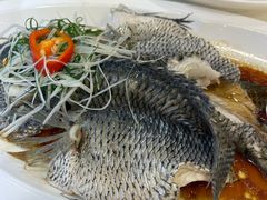 清蒸宝石斑-海宝酒家(中山四路店)