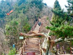 -塔云山