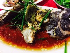 -板桥海鲜广场11排2号