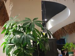 -茶花妹子云南餐厅(传媒大学店)