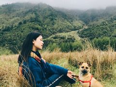 -硗碛藏寨·神木垒景区