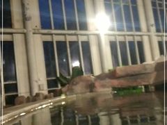 -中家鑫园温泉酒店鑫悦汤泉