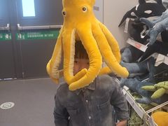 -宜家家居(哈尔滨商场店)