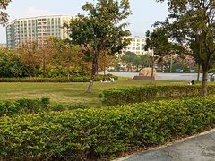 -宝安西湾红树林湿地公园