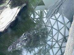 -成都动物园