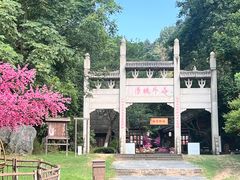 -常德桃花源景区