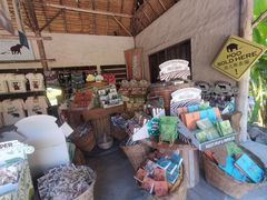 -大象粑粑造纸公园