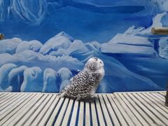 -成都浩海立方海洋公园