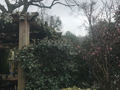 -旅马餐厅(茅家埠店)