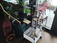 -ITA·意塔意大利餐厅(亦庄店)