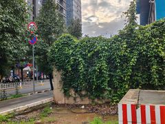-昆明市金殿名胜区