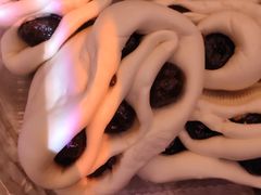 -白玉兰食品(甜云店)